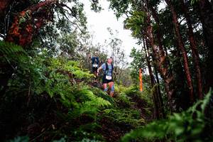 BIB: 
                            <button type="button" onclick="openModal(26201214)" class="btn btn-primary btn-sm float-right btn-popup" data-toggle="modal" data-target=".modal-high-quality">
                        <i class="fas fa-shopping-cart"></i> Add to Cart
                    </button>
                                            <button type="button" onclick="isThisMe(26201214, true)" class="btn btn-success btn-sm float-right btn-popup btn-isme hidden" data-toggle="tooltip" data-placement="bottom" title="นี่คือรูปของคุณใช่ไหม คลิกที่นี่เพื่อเอาเข้าอัลบั้ม">
                        <i class="fas fa-plus"></i> Add to album
                    </button>
                    <button type="button" onclick="isThisMe(26201214, false)" class="btn btn-warning btn-sm float-right btn-popup btn-isnotme hidden">
                        <i class="fas fa-ban"></i> Remove from album
                    </button>